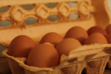 Afbeelding voor categorie Eieren