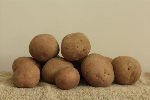 Bildtstar - 4 kg.